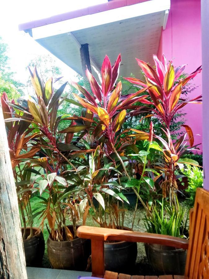 Suwantana Lanta Houses Ko Lanta エクステリア 写真